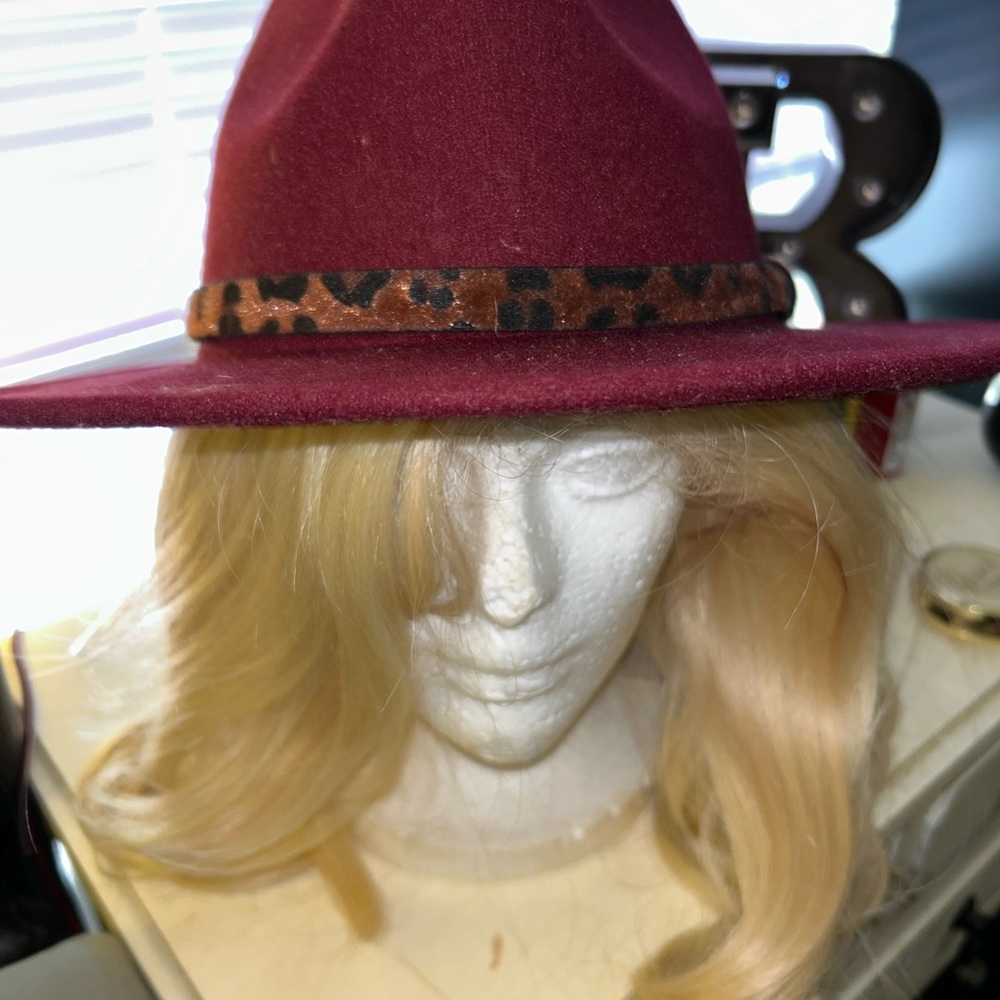 Red Fedora - image 2